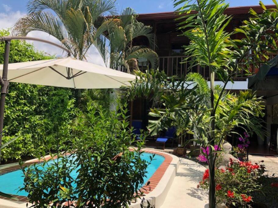 Casa Toucan Mit Privat Pool Near Np Ballena Увіта Екстер'єр фото