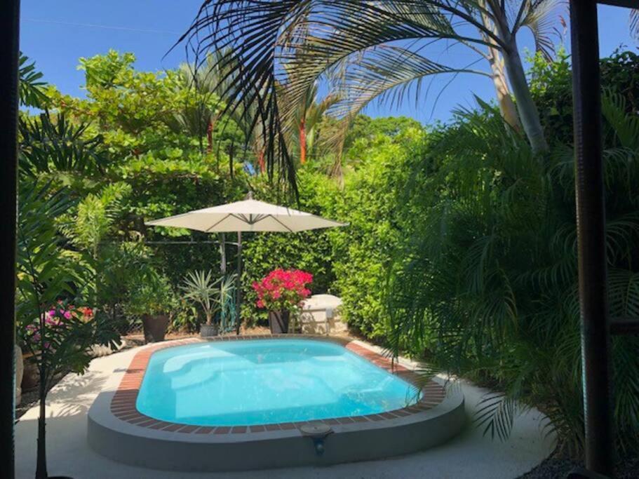 Casa Toucan Mit Privat Pool Near Np Ballena Увіта Екстер'єр фото