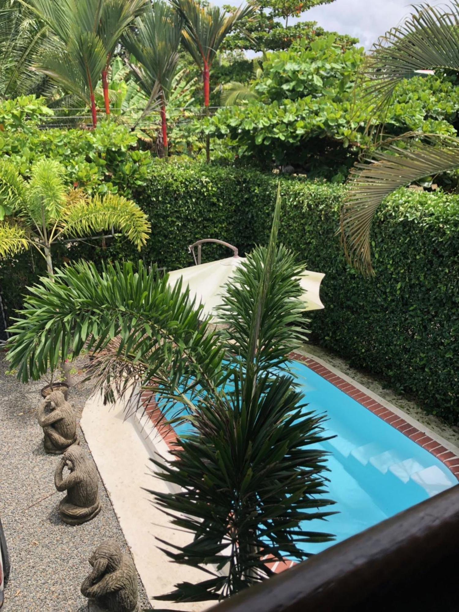 Casa Toucan Mit Privat Pool Near Np Ballena Увіта Екстер'єр фото
