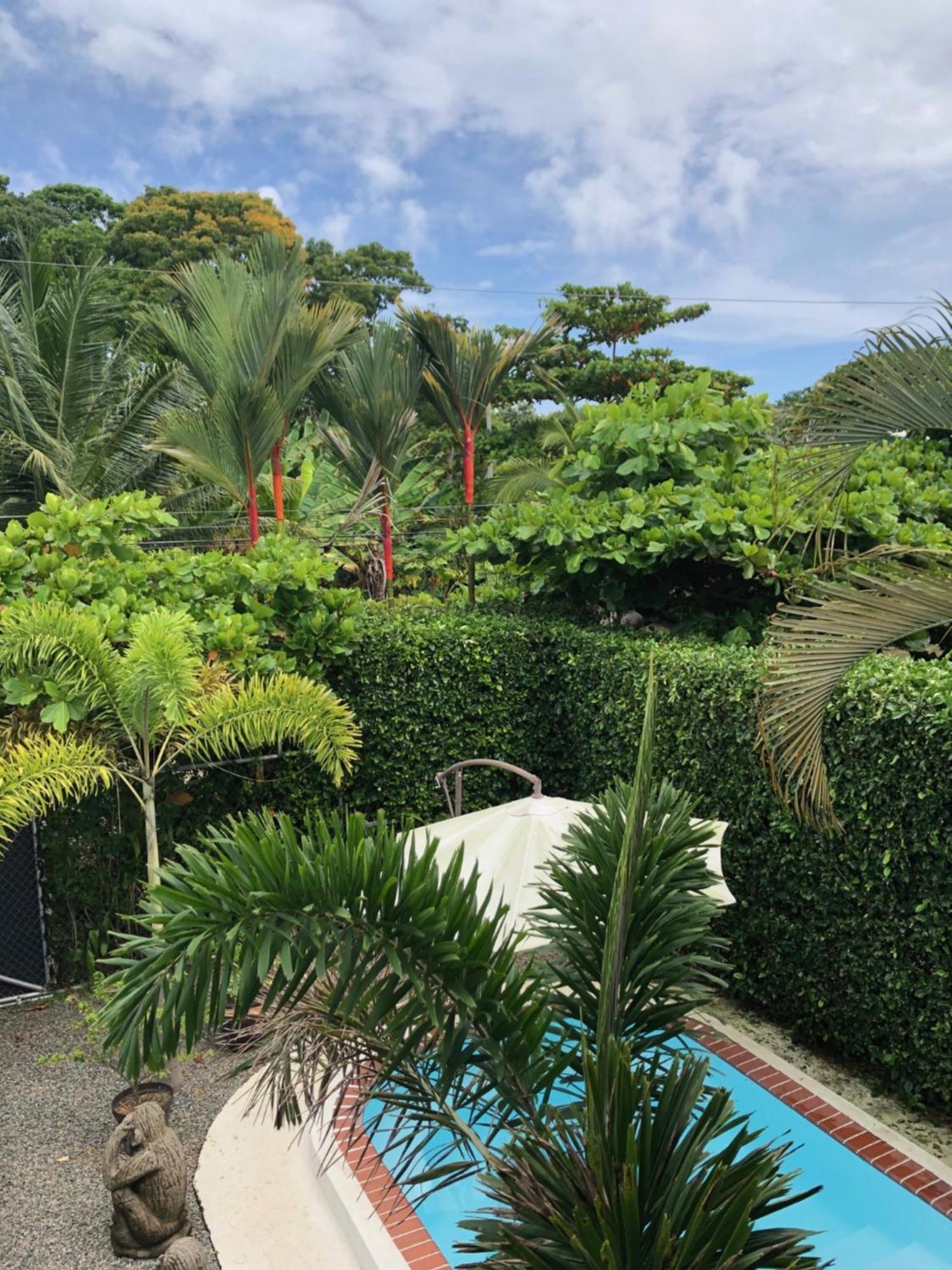 Casa Toucan Mit Privat Pool Near Np Ballena Увіта Екстер'єр фото
