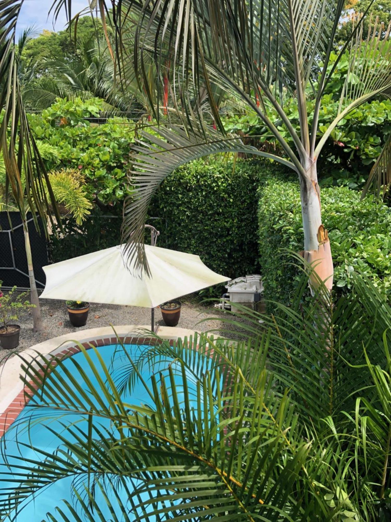 Casa Toucan Mit Privat Pool Near Np Ballena Увіта Екстер'єр фото